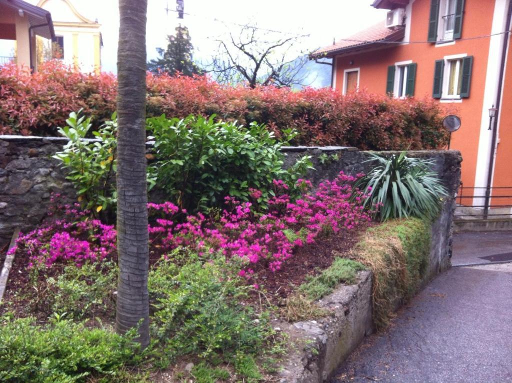 קנוביו B&B Villa Dei Pini מראה חיצוני תמונה