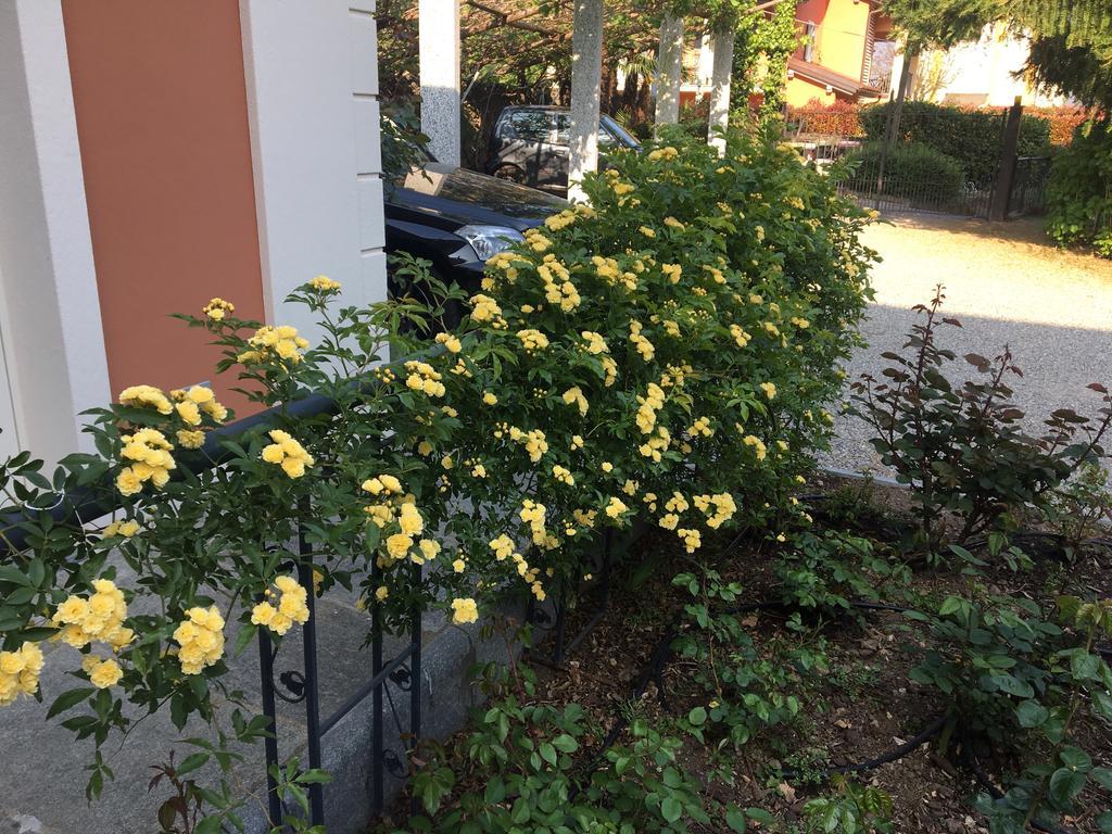 קנוביו B&B Villa Dei Pini מראה חיצוני תמונה